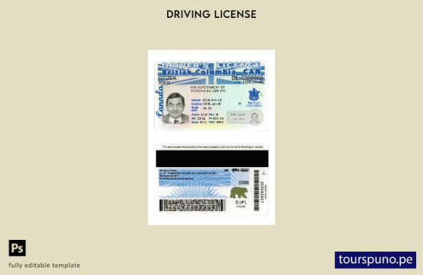 listo para imprimir la plantilla de nueva versión del permiso de conducir de Can
